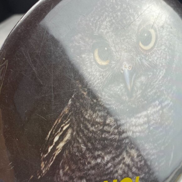 Vintage Springbok Hallmark 6 Inch Owl Pinback Button The Answer Is NO - Picture 6 of 7